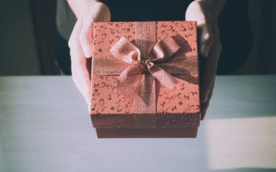 Wholistic Wanders Gift Guide