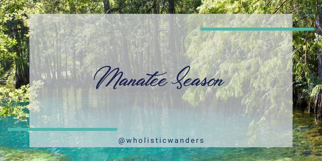 manatee season