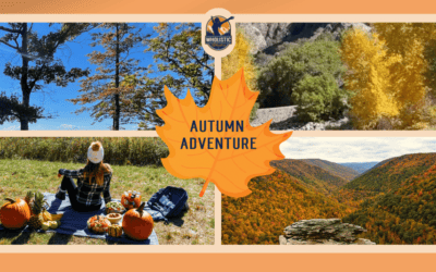 Autumn Road Trip Guide