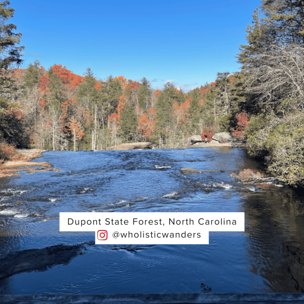 dupont state forest